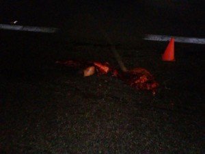 MUERTO ATROPELLADO Y DESTROZADO 45 NORTE (5)