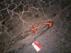 MUERTO ATROPELLADO Y DESTROZADO 45 NORTE (6)