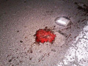 MUERTO ATROPELLADO Y DESTROZADO 45 NORTE (7)