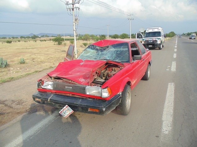 Automóvil embistió a un caballo en una carretera en Aguascalientes y sus tripulantes salieron ilesos