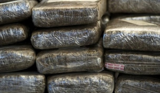 ¡Decomisa la Policía Federal 150 toneladas demarihuana en Nayarit!