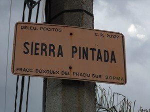 2 ROBOS RESIDENCIAS BOSQUES DEL PRADO NORTE Y SUR (6)