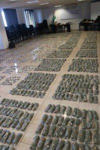 Asegura Ejército 60 kilos de marihuana en Jerez_02