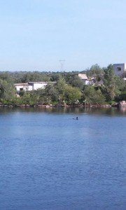 MENOR MUERTO AHOGADO PRESA RINCON DE ROMOS (5)