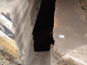 RESCATADOS CAIDA ARROYO Y PUENTE MISION DEL CAMPANARIO (6)