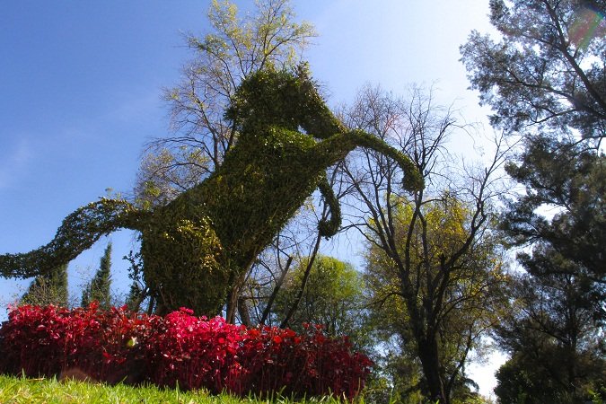 ¡Coloca el MuniAgs 48 árboles con figuras de animales en la Alameda!