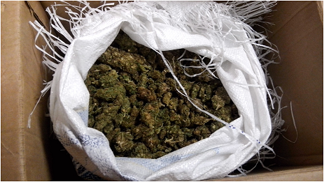 ¡Detenido con más de 50 kilogramos de mariguana al CERESO!