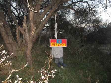 ¡Joven se colgó de un árbol con una camiseta en Aguascalientes!