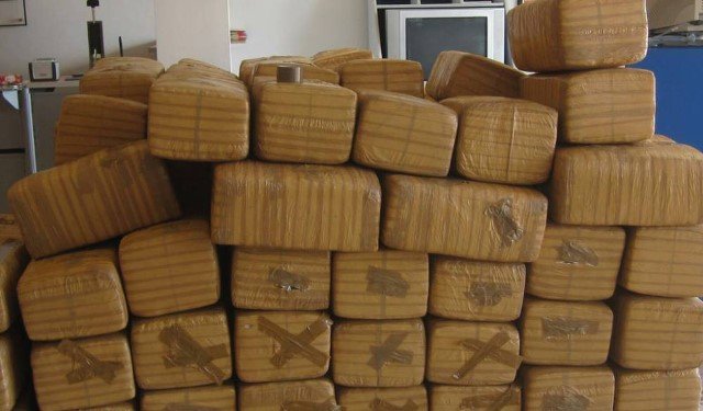 ¡Militares aseguraron más de una tonelada de marihuana en Villa de Cos, Zacatecas!