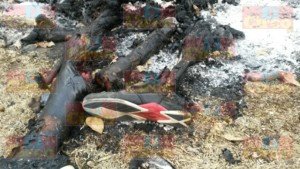 IDENTIFICADOS DOS CALCINADOS_02