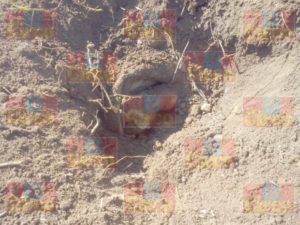 Fresnillense mata a su esposa y la entierra en Fresnillo_03