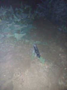 FRUSTRAN ROBO AL TREN Y BALEAN A GUARDIAS DE SEGURIDAD PRIVADA (3)