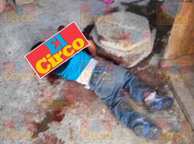 ¡Un perro Pitbull mató a niño de 2 años de edad en Zapopan, Jalisco!