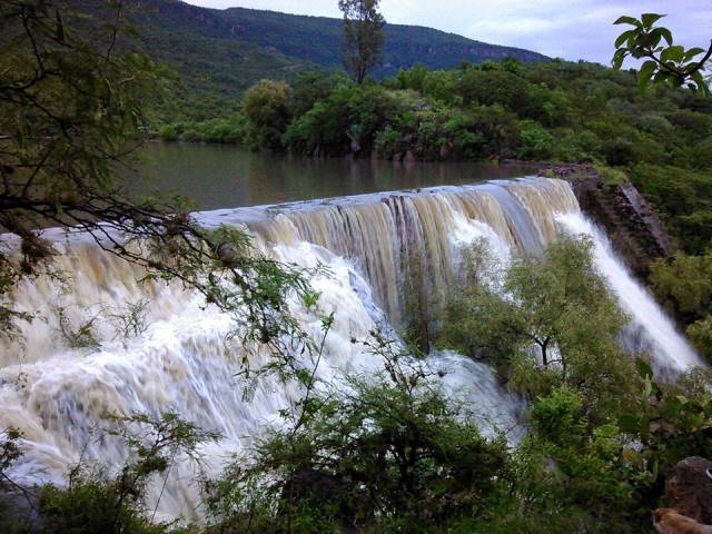 ¡Abundante agua en las presas del municipio de Calvillo!