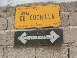 intento-de-suicidio-de-adicto-en-el-ejido-las-cumbres-5