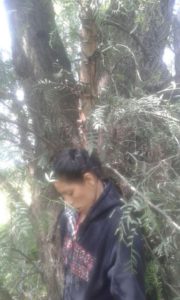 suicidio-de-mujer-en-jesus-maria-2