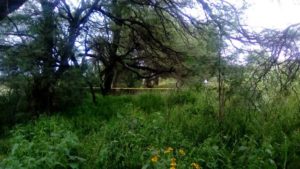 suicidio-de-mujer-en-jesus-maria-5