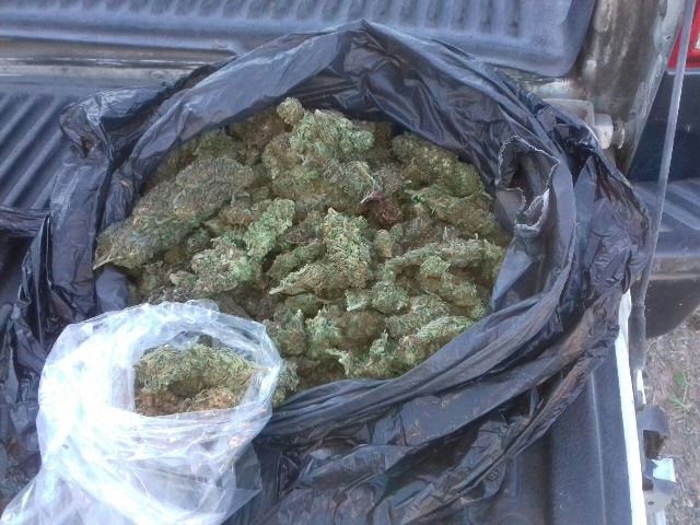 ¡Detuvieron a 2 zacatecanos con 1 kilo de marihuana en Calvillo, Aguascalientes!