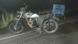 muerto-motociclista-tras-impactar-un-venado-en-carretera-77-6