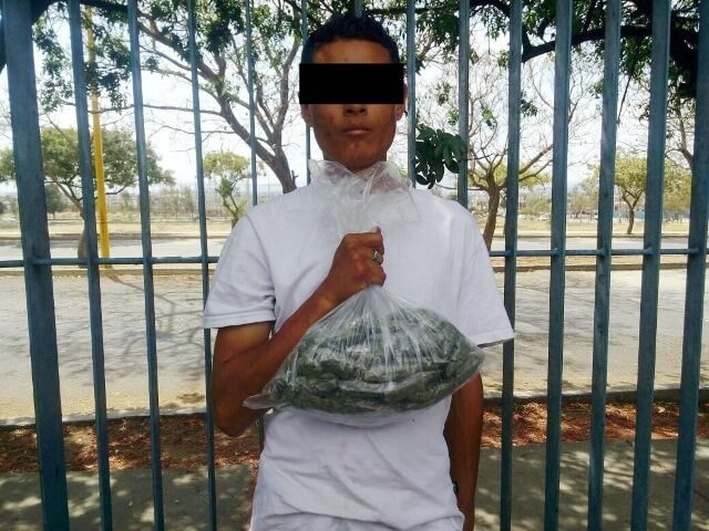 ¡Detuvieron a narcomenudista con 1.5 kilos de marihuana en Aguascalientes!