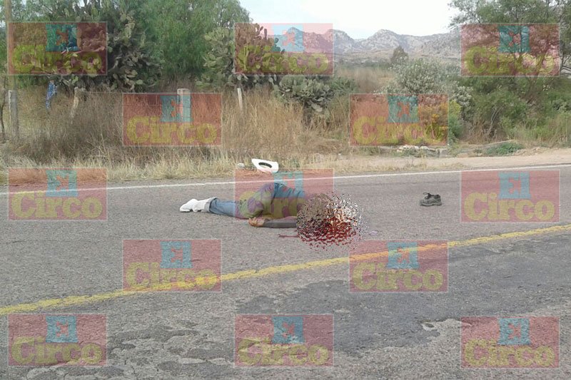 ¡Adulto mayor murió atropellado por veloz camioneta sobre la carretera Ojuelos-Aguascalientes!