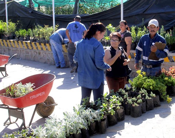 ¡Impulsa el Gobierno Municipal una cultura ecológica ciudadana mediante la donación de plantas!