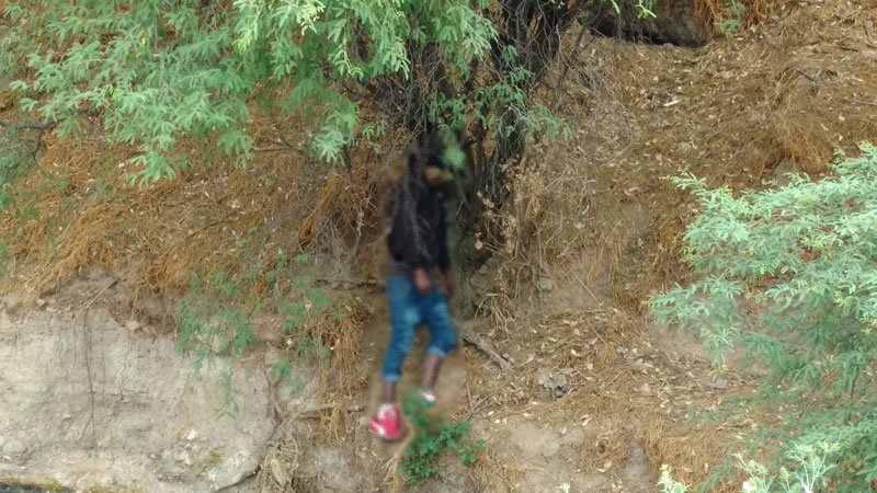 ¡Joven desaparecido fue encontrado colgado en un árbol en Aguascalientes!
