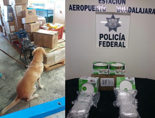 ¡Policía Federal aseguró 4 kilos de marihuana en refractarios de plástico en una empresa de paquetería en Guadalajara!