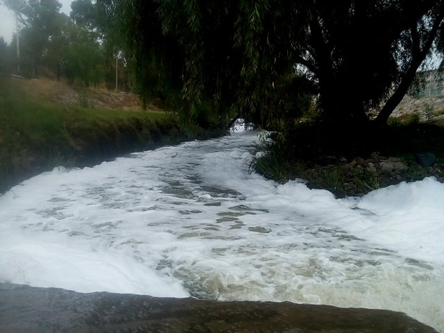 ¡Río de espuma en Aguascalientes: PVEM!