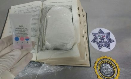 ¡En Jalisco binomios caninos de la Policía Federal detectaron aparente cocaína en un libro!