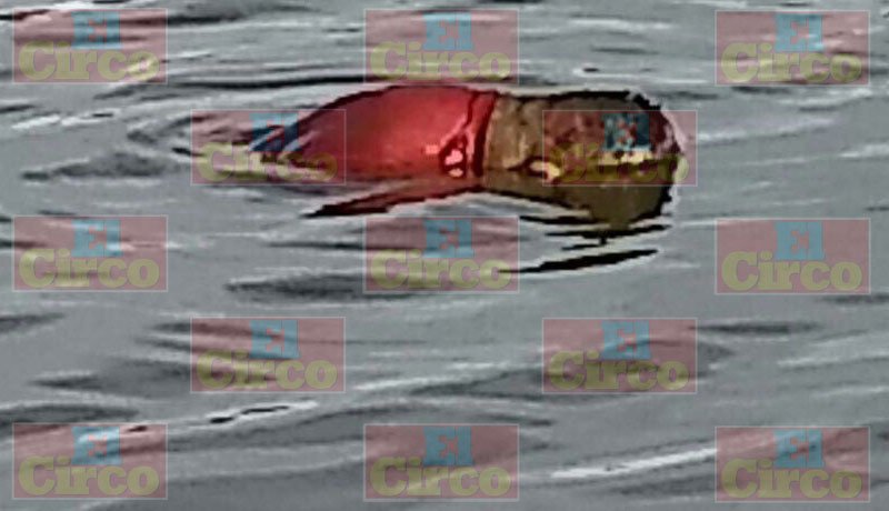 ¡Hallaron a un joven ahogado en la Presa de Rivera en Fresnillo!
