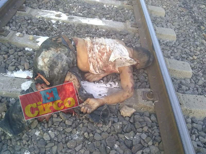 ¡Muere un hombre arrollado y semidestrozado por el tren en Lagos de Moreno!