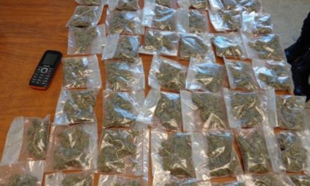 ¡Policías estatales detuvieron a pareja de narcotraficantes en Aguascalientes con 50 dosis de marihuana y 9 de “crystal”!