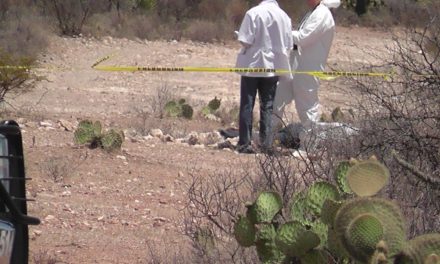 ¡Joven se suicidó en la zona serrana de Trancoso, Zacatecas!