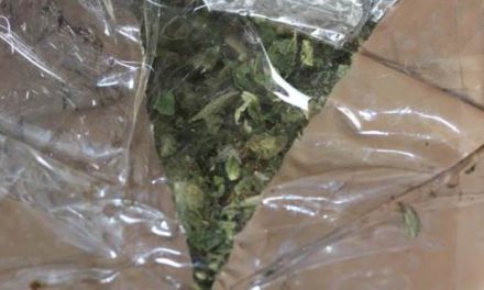 ¡Policías federales detuvieron en Zacatecas a un aguascalentense con 28 kilos de marihuana!