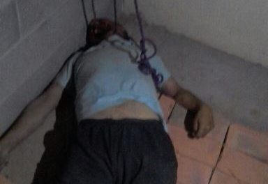 ¡Hombre se quitó la vida en Aguascalientes y sus perros le carcomieron la cara!