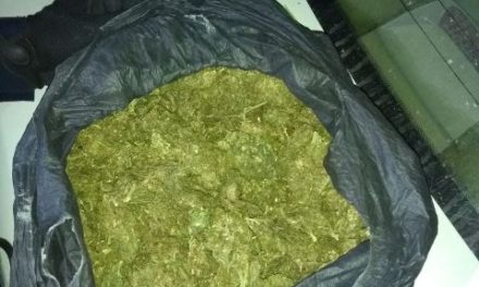 ¡Detuvieron a narcomenudista con medio kilo de marihuana, “crystal” y cartuchos en Aguascalientes!