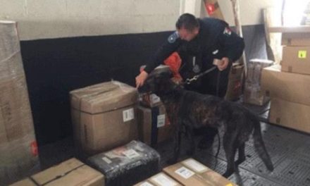 ¡Policías federales aseguraron 2.5 kilos de heroína en Cancún enviados desde Aguascalientes!