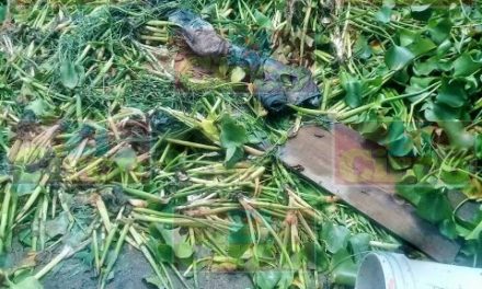 ¡Hallaron una pierna humana en un arroyo en Lagos de Moreno!