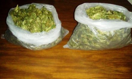 ¡Policías estatales detuvieron a 2 sujetos con medio kilo de marihuana en Aguascalientes!