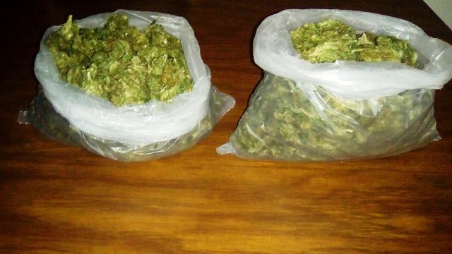 ¡Policías estatales detuvieron a 2 sujetos con medio kilo de marihuana en Aguascalientes!