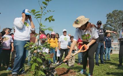 ¡400 mil árboles y plantas para reforestar Aguascalientes en esta administración: Tere Jiménez!