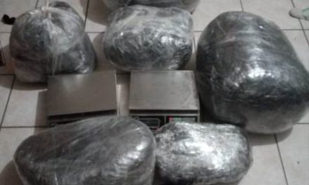¡Golpe al narcotráfico en Aguascalientes: la Fiscalía decomisó más de 29 kilos de marihuana tras cateo domiciliario!