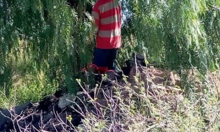 ¡Joven se colgó de la rama de un árbol en una terracería en Aguascalientes!