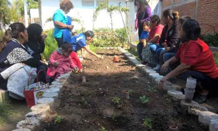 ¡Ayuntamiento de Aguascalientes reanudará talleres de Micro Huertos Familiares!