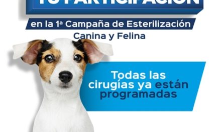 ¡Agradecemos tu participación en la Primera Campaña de Esterilización Canina y Felina!