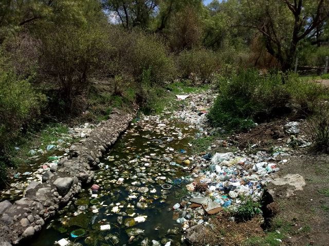 ¡Aparecen ríos de plástico en Aguascalientes: PVEM!
