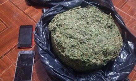 ¡La PEP detuvo a 1 sujeto y 1 mujer con más de 2 kilos de marihuana en Fresnillo!
