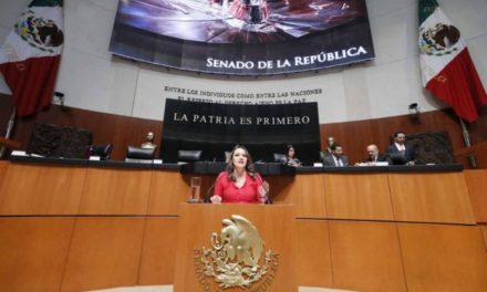 ¡Senadora Martha Márquez pide claridad en acuerdo de Estados Unidos con México!