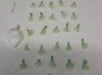 ¡Increíble: detuvieron a una adolescente narcomenudista con 36 dosis de “crystal” en Aguascalientes!